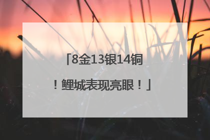 8金13银14铜！鲤城表现亮眼！
