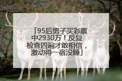 95后男子买彩票中2930万！反复检查四遍才敢相信，激动得一宿没睡