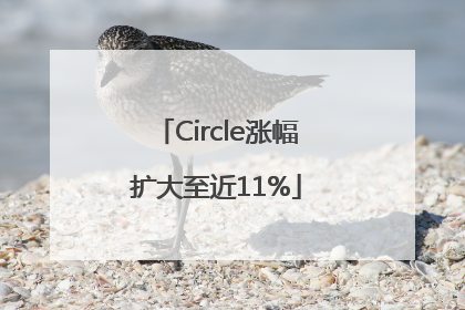 Circle涨幅扩大至近11%