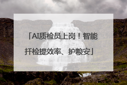 AI质检员上岗！智能扦检提效率、护粮安