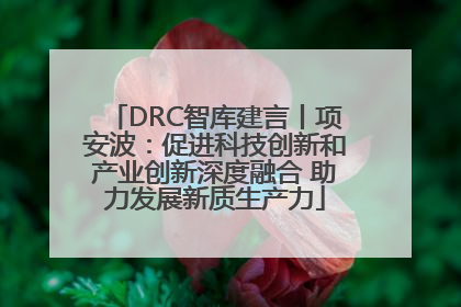 DRC智库建言丨项安波：促进科技创新和产业创新深度融合 助力发展新质生产力