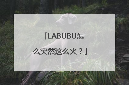 LABUBU怎么突然这么火？